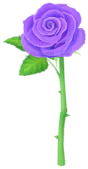 File:Blue anniversary rose Big Flower icon.png