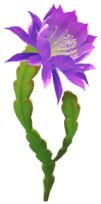 File:Blue orchid cactus Big Flower icon.png
