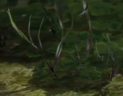 File:Pikmin 3 prototype plant.png