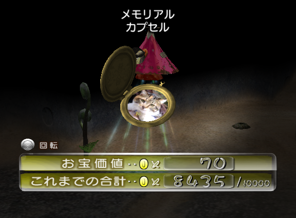 File:P2 Time Capsule JP Collected.png
