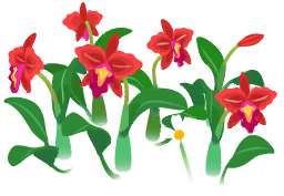 File:Red cattleya flowers icon.png