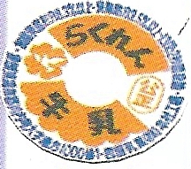 File:P2 Good Old Memories Artwork.png