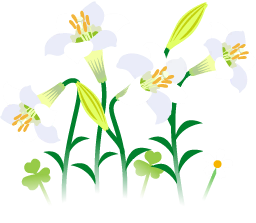 File:White lily flowers icon.png