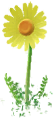 File:Yellow Big Flower icon.png