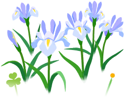 File:White iris flowers icon.png