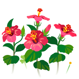 File:Red hibiscus flowers icon.png
