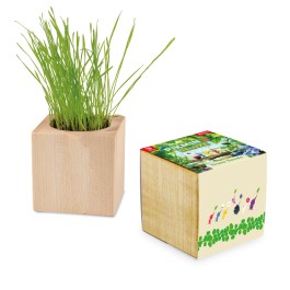 File:UK P3D preorder Grass Seeds.jpg