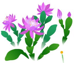 File:Blue orchid cactus flowers icon.png