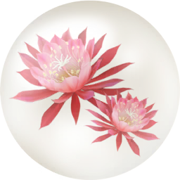 File:Red orchid cactus nectar icon.png