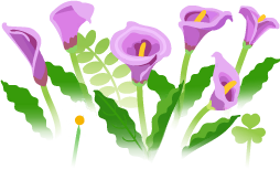 File:Blue calla lily flowers icon.png