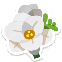 File:PB Lifelog Freesia White.png