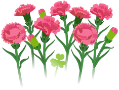 File:Red carnation flowers icon.png