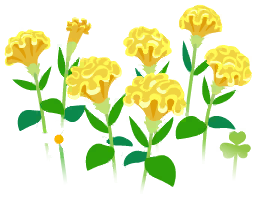 File:Yellow celosia flowers icon.png