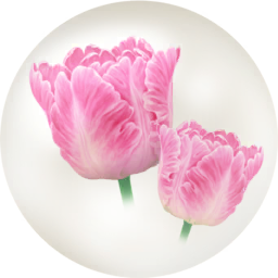 File:Red parrot tulip nectar icon.png