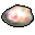 Memorial Shell icon.png