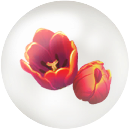 File:Red tulip nectar icon.png