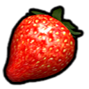 File:Sunseed Berry P2S icon.png