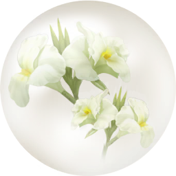 File:White canna lily nectar icon.png