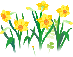 File:Yellow daffodil flowers icon.png