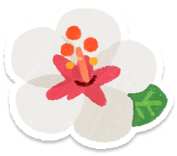 File:PB Lifelog Hibiscus White.png