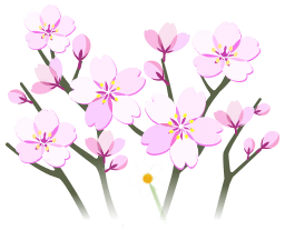 File:White cherry blossom flowers icon.png