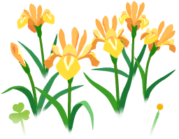File:Yellow iris flowers icon.png