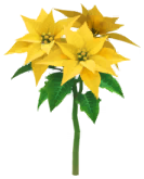 File:Yellow poinsettia Big Flower icon.png