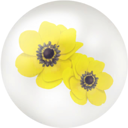File:Yellow windflower nectar icon.png
