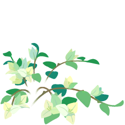 File:White bougainvillea flowers icon.png