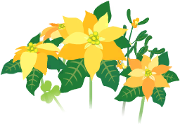 File:Yellow poinsettia flowers icon.png