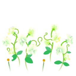 File:White sweet pea flowers icon.png