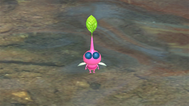 File:Winged Pikmin showcase P3DX image.png