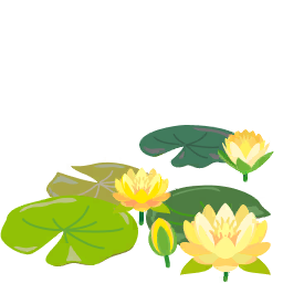 File:Yellow water lily flowers icon.png