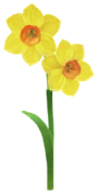 File:Yellow daffodil Big Flower icon.png