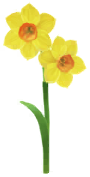 File:Yellow daffodil Big Flower icon.png