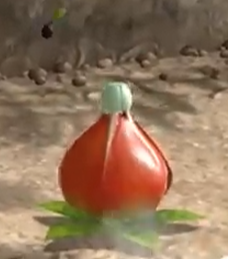 File:Orange Candypop.png