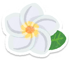 File:PB Lifelog Frangipani White.png