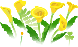 File:Yellow calla lily flowers icon.png