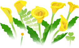 File:Yellow calla lily flowers icon.png