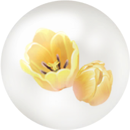 File:Yellow tulip nectar icon.png