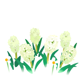 File:White hyacinth flowers icon.png