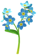 File:Blue forget-me-not Big Flower icon.png