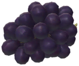 Grapes icon.png