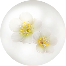 File:White plum blossom nectar icon.png
