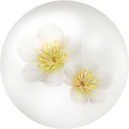 File:White plum blossom nectar icon.png