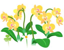 File:Yellow moth orchid flowers icon.png