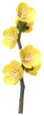 File:Yellow plum blossom Big Flower icon.png