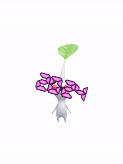 An animation of a White Pikmin with 2024 Glasses from Pikmin Bloom