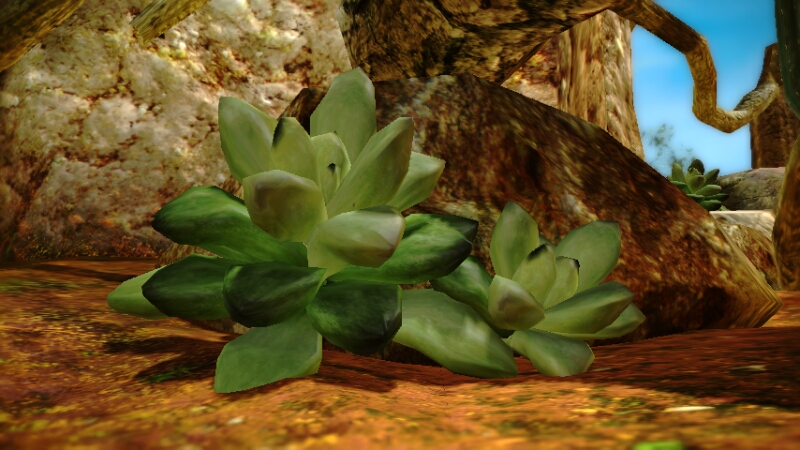File:Unknown rubbery plant.jpg