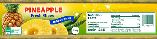 File:Patience Tester P2S texture.png